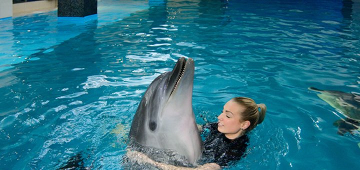Скидка на посещение дельфинария «Немо» в Одессе