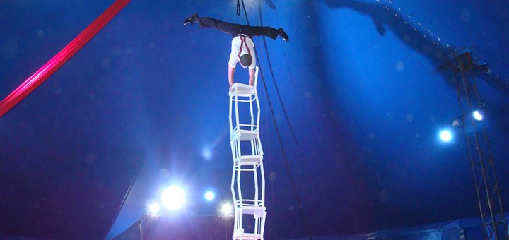 Квитки на «American circus» від цирку «Олімп» зі знижкою 8