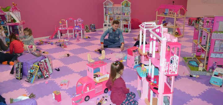 Animator in the children's room "Lady Land" in Kiev. Discounted prices