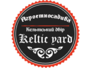 Кельтский двор