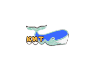 Кит