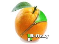 Body Beauty 2017