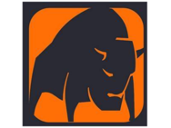 Buffalo