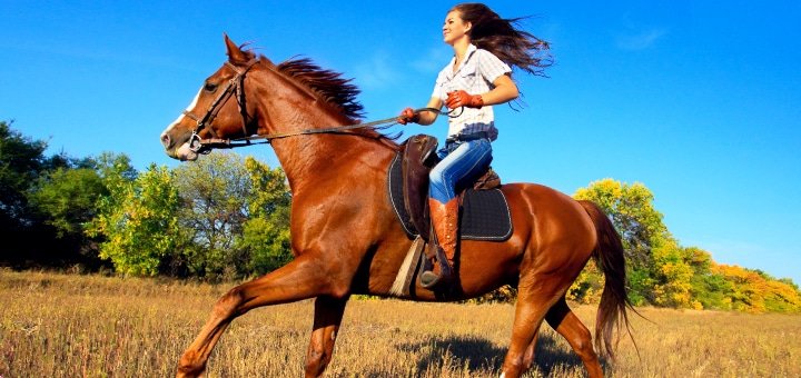 https://cdn1.pokupon.ua/uploaded/new_campaign_pictures/16221/data/main720x340/horse-large.jpg?1370615379