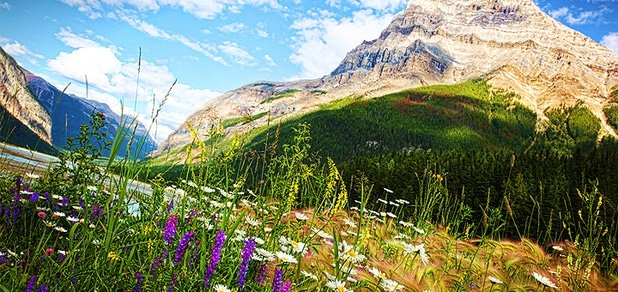 https://cdn1.pokupon.ua/uploaded/new_campaign_pictures/16755/data/main620x292/car1.jpg?1372345196
