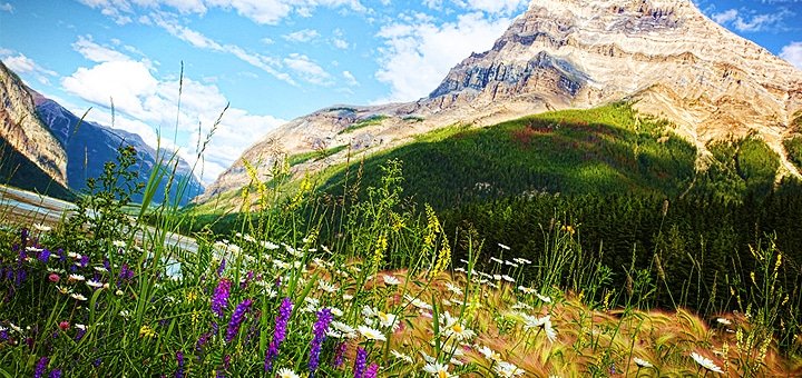 https://cdn1.pokupon.ua/uploaded/new_campaign_pictures/16755/data/main720x340/car1.jpg?1372345196