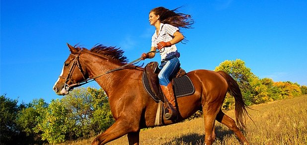 https://cdn1.pokupon.ua/uploaded/new_campaign_pictures/16825/data/main620x292/horses_wapka1.jpg?1372849693