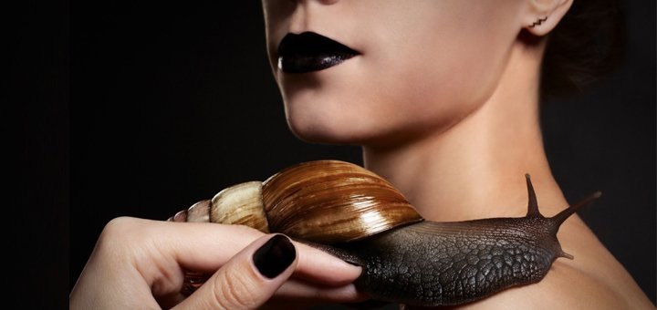 https://cdn1.pokupon.ua/uploaded/new_campaign_pictures/168285/data/main720x340/1.jpg?1472111057