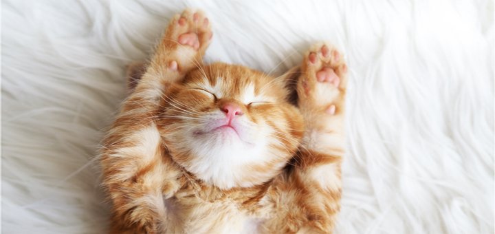 https://cdn1.pokupon.ua/uploaded/new_campaign_pictures/168430/data/main720x340/shutterstock_235089946.jpg?1472134016