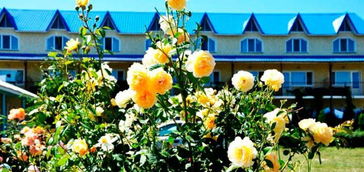 https://cdn1.pokupon.ua/uploaded/new_campaign_pictures/170428/data/main720x340/720x12.jpg?1472729418