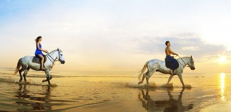 Прогулка на лошадях -55%
