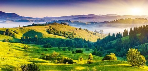 Отдых в Карпатах -51%!