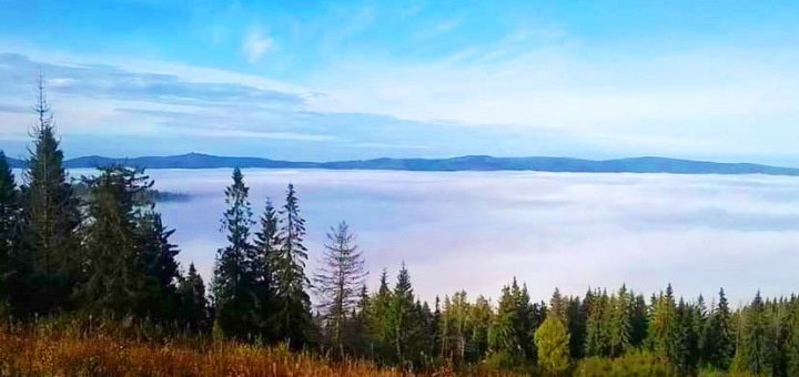 https://cdn1.pokupon.ua/uploaded/new_campaign_pictures/191270/data/main720x340/720x1.jpg?1475588598