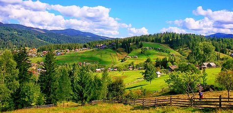 Отдых в Карпатах -50%!