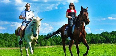 Прогулка на лошадях -66%!