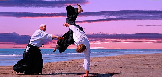 https://cdn1.pokupon.ua/uploaded/new_campaign_pictures/199389/data/main620x292/aikido-large.jpg?1477299067