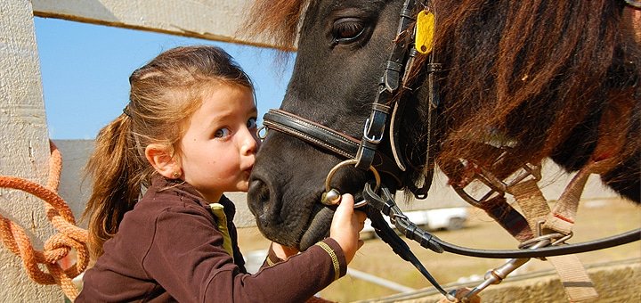 https://cdn1.pokupon.ua/uploaded/new_campaign_pictures/20096/data/main720x340/kon1.jpg?1381929385