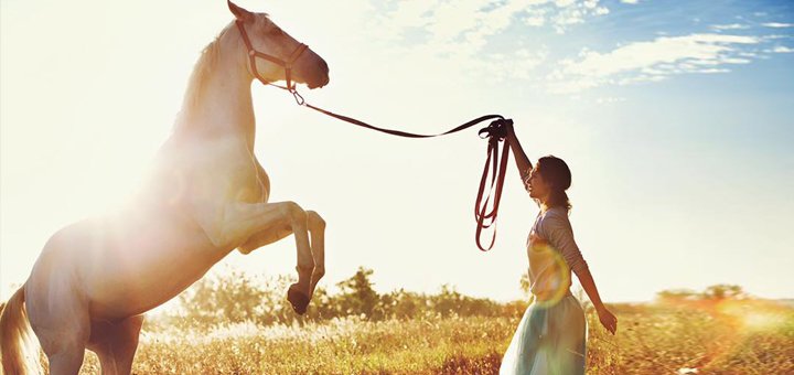 https://cdn1.pokupon.ua/uploaded/new_campaign_pictures/203484/data/main720x340/2.jpg?1477923443
