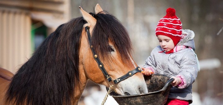 https://cdn1.pokupon.ua/uploaded/new_campaign_pictures/203487/data/main720x340/5.jpg?1477923446