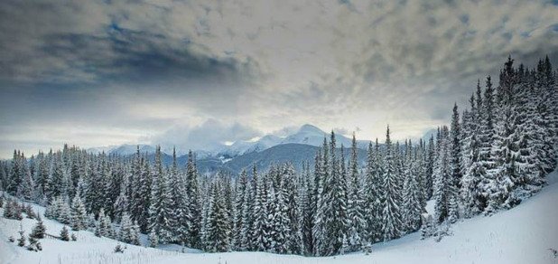 https://cdn1.pokupon.ua/uploaded/new_campaign_pictures/204999/data/main620x292/720x20.jpg?1478276904