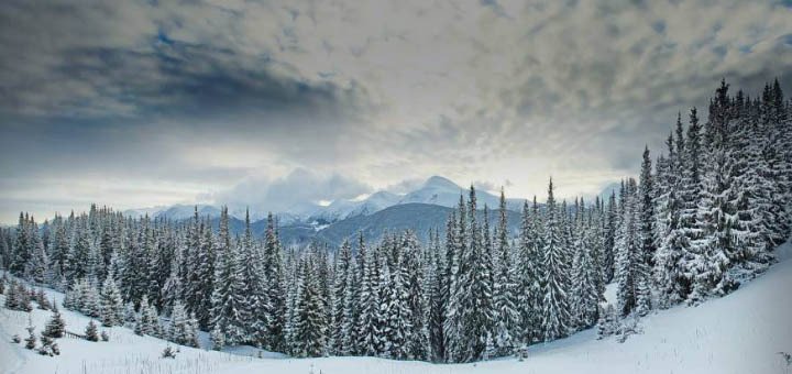 https://cdn1.pokupon.ua/uploaded/new_campaign_pictures/204999/data/main720x340/720x20.jpg?1478276904