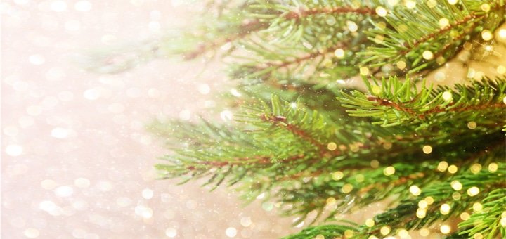 https://cdn1.pokupon.ua/uploaded/new_campaign_pictures/211753/data/main720x340/shutterstock_498837379.jpg?1480348540
