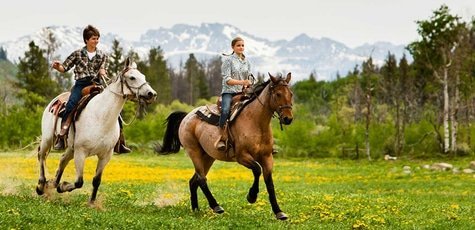 Прогулка на лошадях от конного клуба «Легион»