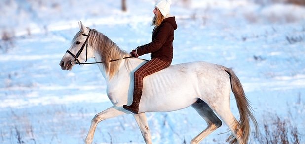 https://cdn1.pokupon.ua/uploaded/new_campaign_pictures/22145/data/main620x292/big_2.jpg?1386838718