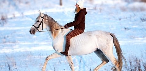 Конная прогулка -60%!