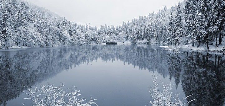 https://cdn1.pokupon.ua/uploaded/new_campaign_pictures/224063/data/main720x340/720x1.jpg?1480944752