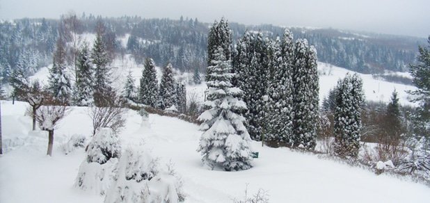 https://cdn1.pokupon.ua/uploaded/new_campaign_pictures/224135/data/main620x292/%D0%B3%D0%BB3.jpg?1480953912