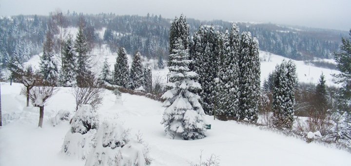 https://cdn1.pokupon.ua/uploaded/new_campaign_pictures/224135/data/main720x340/%D0%B3%D0%BB3.jpg?1480953912