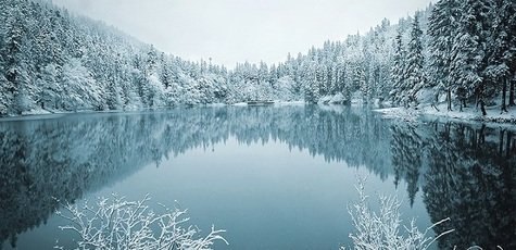 Карпаты! 5-дневный тур с увлекательной программой!