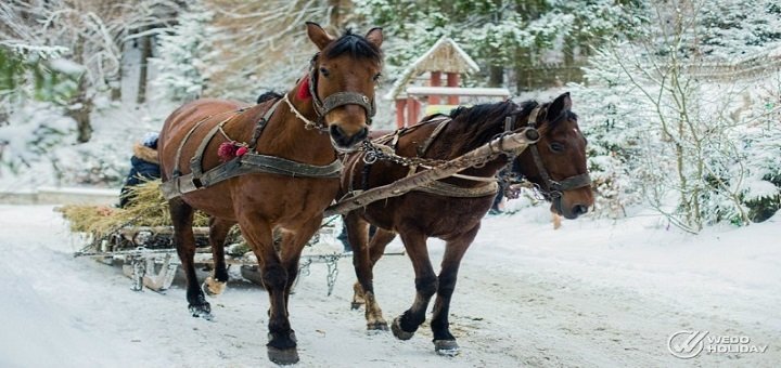 https://cdn1.pokupon.ua/uploaded/new_campaign_pictures/224326/data/main720x340/excurtion_236.jpg?1481036132