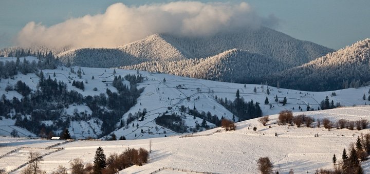 https://cdn1.pokupon.ua/uploaded/new_campaign_pictures/225831/data/main720x340/720_%282%29.jpg?1481212732