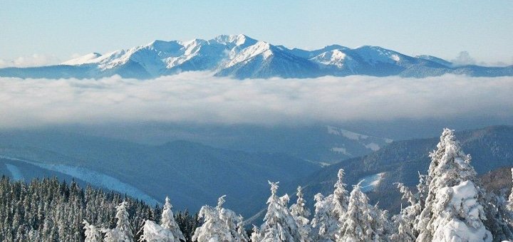 https://cdn1.pokupon.ua/uploaded/new_campaign_pictures/225836/data/main720x340/720_%287%29.jpg?1481212736