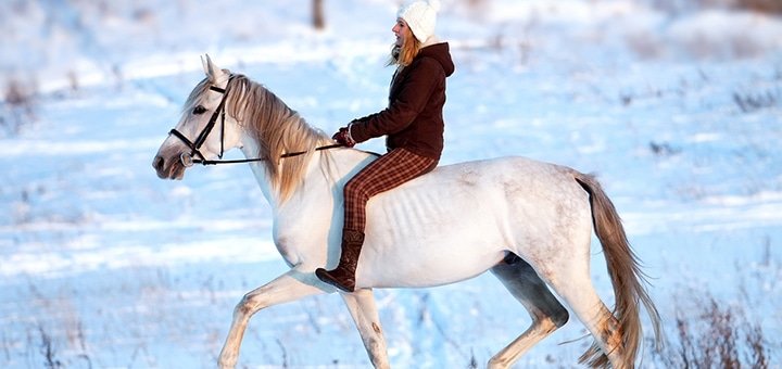 https://cdn1.pokupon.ua/uploaded/new_campaign_pictures/22668/data/main720x340/big_2.jpg?1387880421