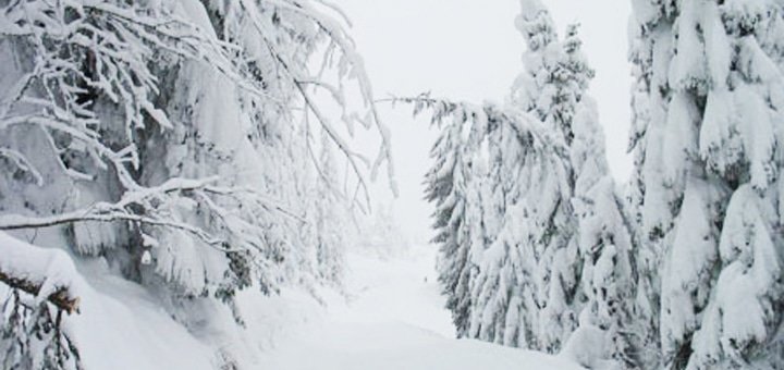 https://cdn1.pokupon.ua/uploaded/new_campaign_pictures/228801/data/main720x340/big16187.jpg?1481796316