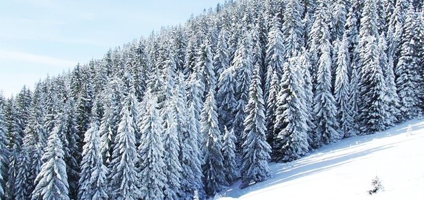 https://cdn1.pokupon.ua/uploaded/new_campaign_pictures/228838/data/main620x292/%D0%B0%D1%96%D0%B0%D1%96%D0%B0%D0%B0.jpg?1481801264