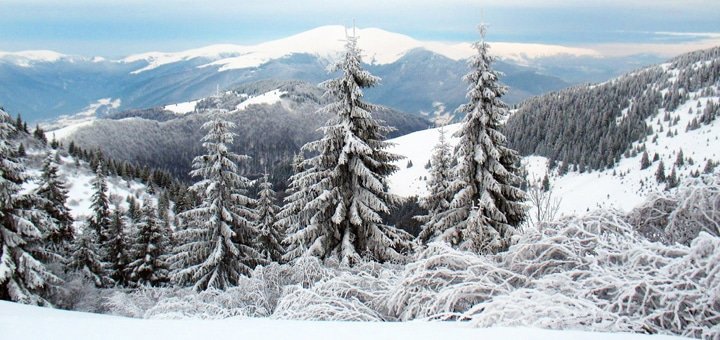 https://cdn1.pokupon.ua/uploaded/new_campaign_pictures/228970/data/main720x340/10.jpg?1481819402