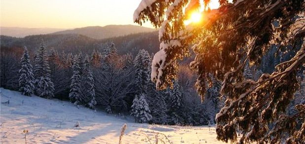 https://cdn1.pokupon.ua/uploaded/new_campaign_pictures/228976/data/main620x292/16.jpg?1481819406