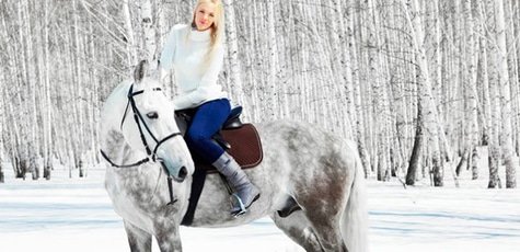 Прогулка на лошадях -50%!