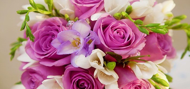 https://cdn1.pokupon.ua/uploaded/new_campaign_pictures/236137/data/main720x340/flowers-4.jpg?1483019714