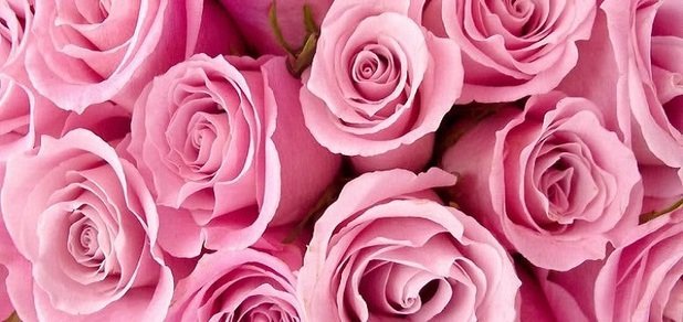 https://cdn1.pokupon.ua/uploaded/new_campaign_pictures/236139/data/main620x292/banner.jpg?1483019716