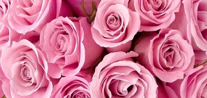https://cdn1.pokupon.ua/uploaded/new_campaign_pictures/236139/data/main720x340/banner.jpg?1483019716