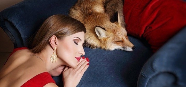 https://cdn1.pokupon.ua/uploaded/new_campaign_pictures/236574/data/main720x340/765433.jpg?1483435718