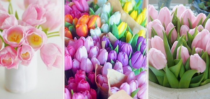 https://cdn1.pokupon.ua/uploaded/new_campaign_pictures/24262/data/main720x340/tulips1.jpg?1393246602