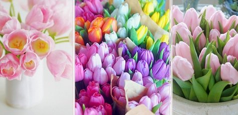 Букеты тюльпанов -50%!