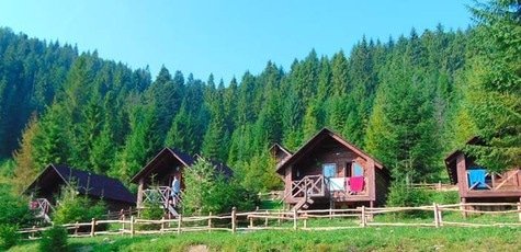 До 8 дней отдыха в усадьбе «Аляска» в Карпатах