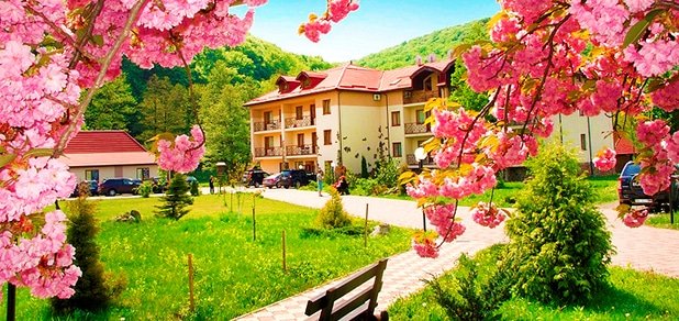 https://cdn1.pokupon.ua/uploaded/new_campaign_pictures/25195/data/main620x292/bo1.jpg?1395667208